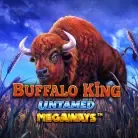 Buffalo King Untamed Megaways